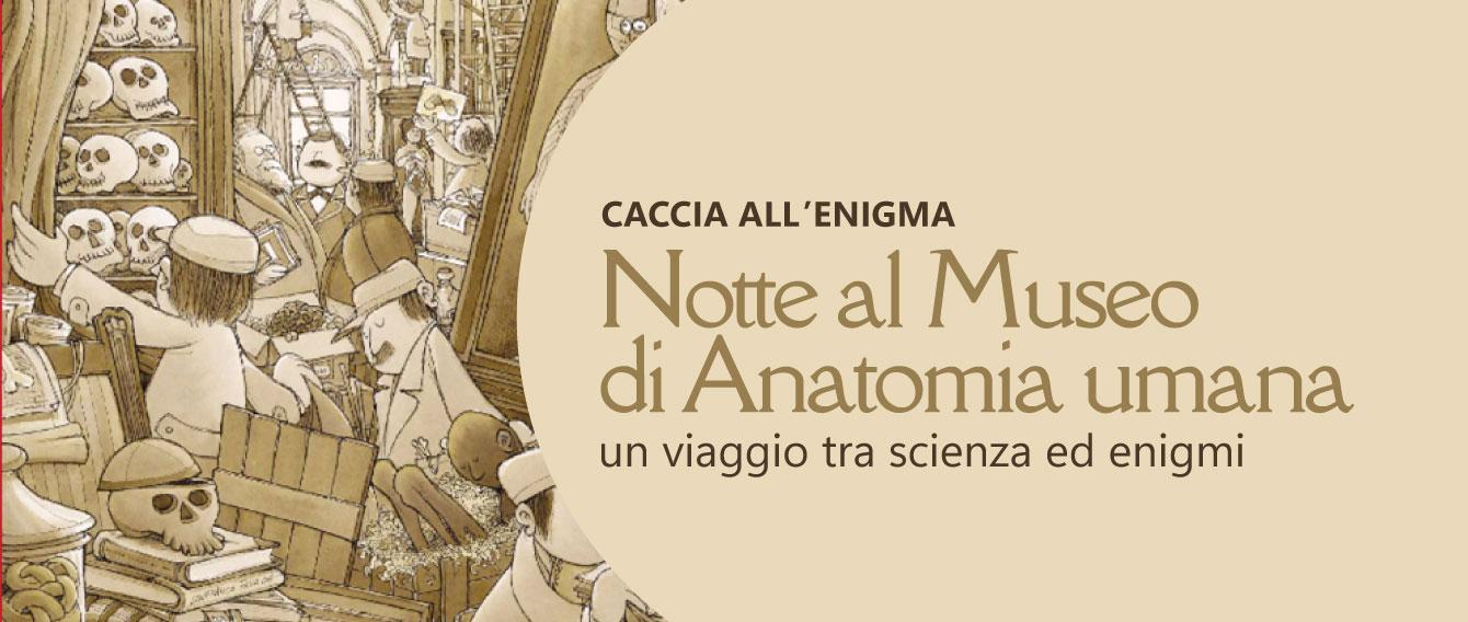 Notte al Museo di Anatomia umana<br>21 novembre 2024</br>